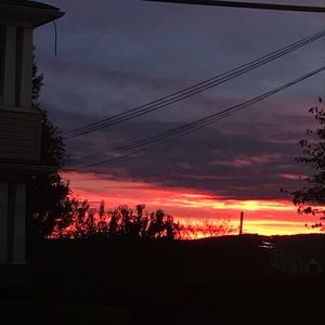 Meet your Posher, Jazmin